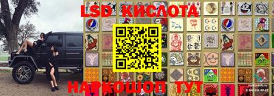 индика Будённовск