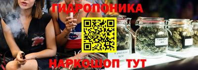 индика Будённовск