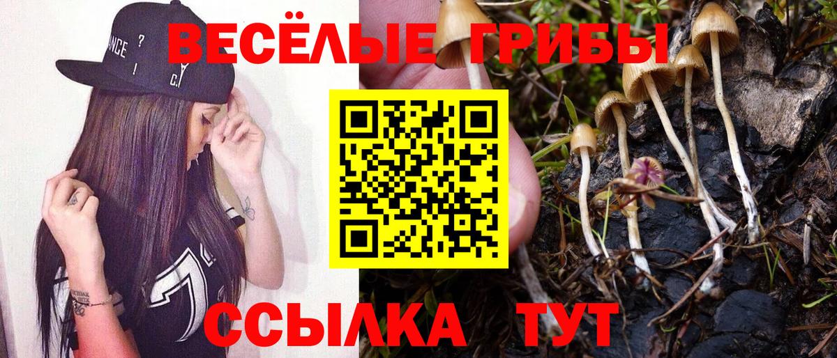 Галлюциногенные грибы прущие грибы  Псилоцибиновые грибы мицелий  Муравленко  Вход с VPN 