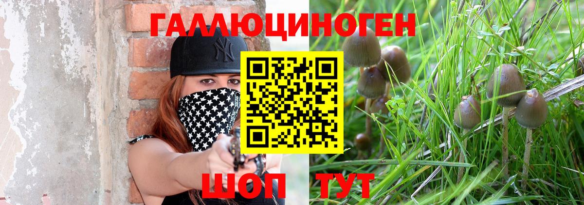 цены   Галлюциногенные грибы Magic Shrooms  Муравленко  Галлюциногенные грибы прущие грибы 